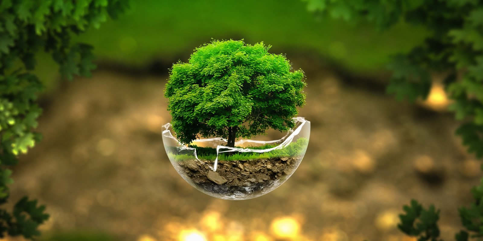 Green Technology